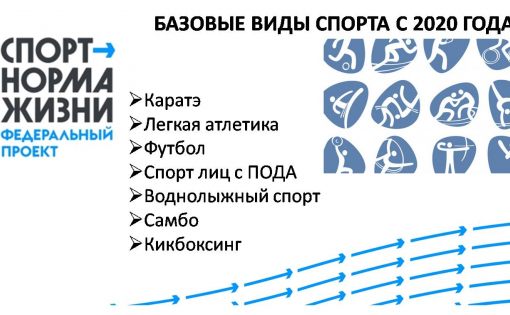 В Саратовской области впервые стало 17 базовых видов спорта