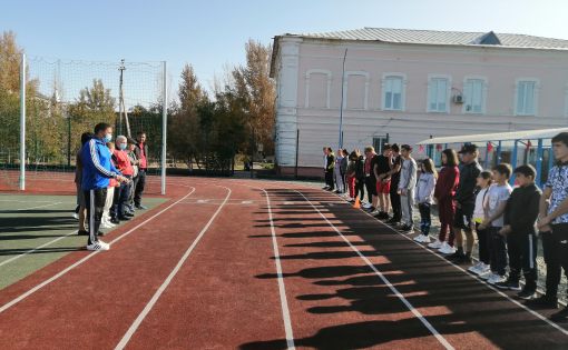 Ученики Александрово-Гайского района  выполнили нормативы ГТО 