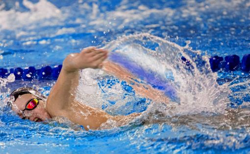 Саратовские пловцы успешно выступают на чемпионате России