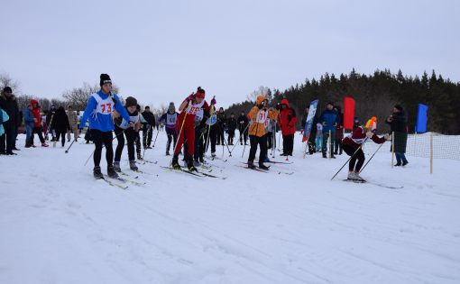 В Аткарске прошел региональный этап зимнего фестиваля ВФСК «ГТО»