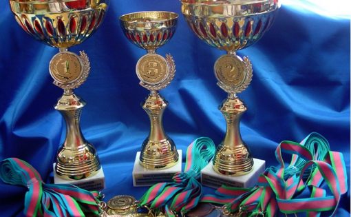 В Саратове состоялись зональные соревнования областного Спартианского фестиваля среди команд летних детских оздоровительных лагерей области