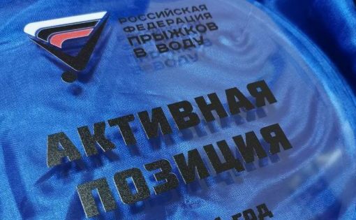 Министерство молодежной политики и спорта получило награду Российской федерации прыжков в воду