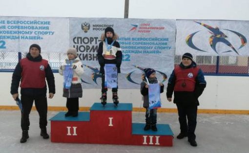 В регионе в формате онлайн прошел региональный этап Всероссийских соревнований «Лед надежды нашей – 2022»
