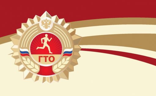 Региональный этап фестиваля ВФСК «ГТО» среди муниципальных организаций Саратовской области