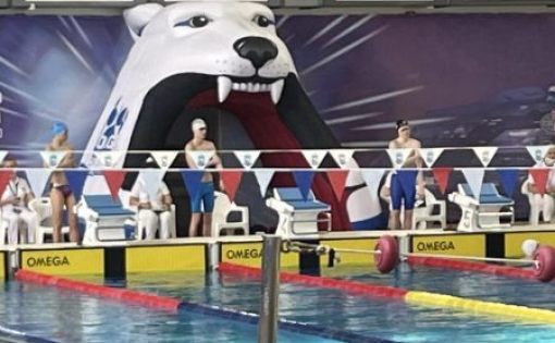 Саратовские пловцы успешно выступают на Всероссийских соревнованиях 
