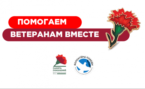 Саратовская область заняла 4 место в рамках акции «Красная гвоздика» по  помощи ветеранам 