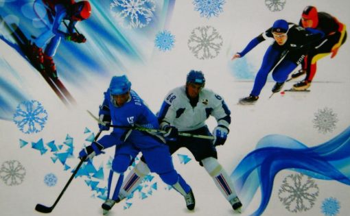 В Саратове пройдет ряд спортивных мероприятий с участием Олимпийских чемпионов области