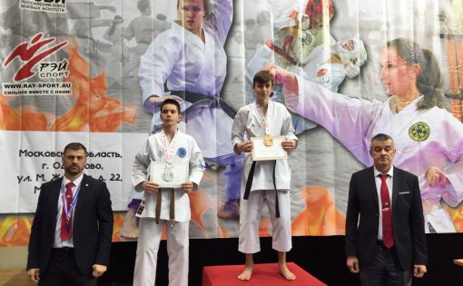 Саратовские спортсмены завоевали 10 медалей на Всероссийских соревнованиях и фестивале по всестилевому каратэ