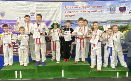 В Саратове  прошли  областные соревнования по рукопашному бою, приуроченные к  празднованию Дня Конституции РФ 