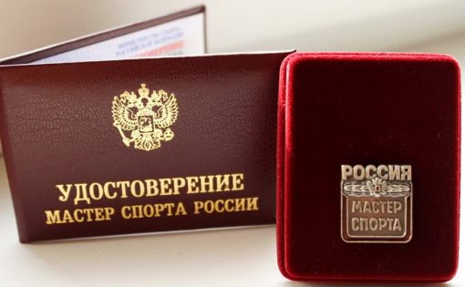 Министр спорта России Михаил Дегтярёв присвоил саратовским спортсменам новые звания: