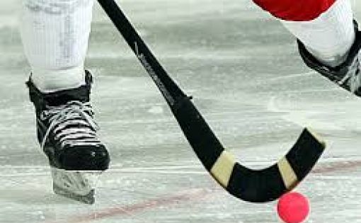 В рамках Универсиады образовательных организаций  высшего образования Саратовской области состоятся игры по русскому хоккею с мячом 