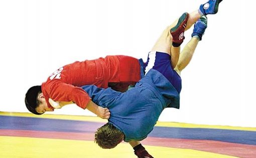 Команда СГУ – победитель соревнований по борьбе самбо в рамках Универсиады вузов области