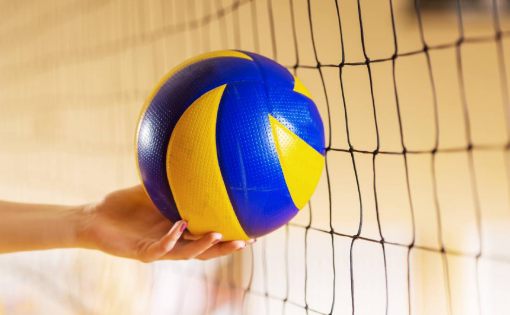  В Саратове стартуют соревнования Ассоциации волейбольной студенческой лиги среди женских команд 2018-19 гг.