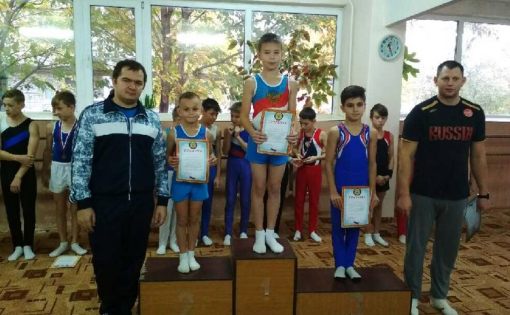 Воспитанники спортшколы «Надежда Губернии» успешно выступили на областных соревнованиях по спортивной гимнастике