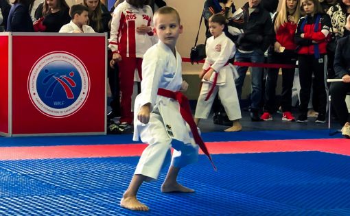 В Саратове прошел областной турнир по каратэ «Юный Олимпиец»