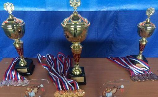 Школьники приедут в Саратов на Всероссийские соревнования по бадминтону «Проба пера»