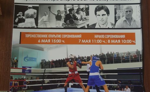 Турнир по боксу, посвященный 74-ой годовщине Победы в Великой Отечественной войне, прошел в Балашове