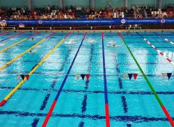 Саратовские пловцы приняли участие в Первенстве «Спортивной школы олимпийского резерва по водным видам спорта»