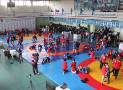 На турнире по самбо "Покровский" у саратовских спортсменов 7 медалей 